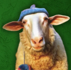 Sheep Wif Hat