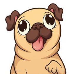 Pug Inu